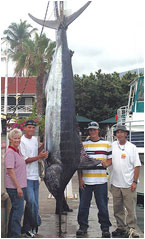 marlin fishing, Maui HI